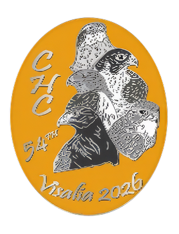 Metal Field Meet Pin