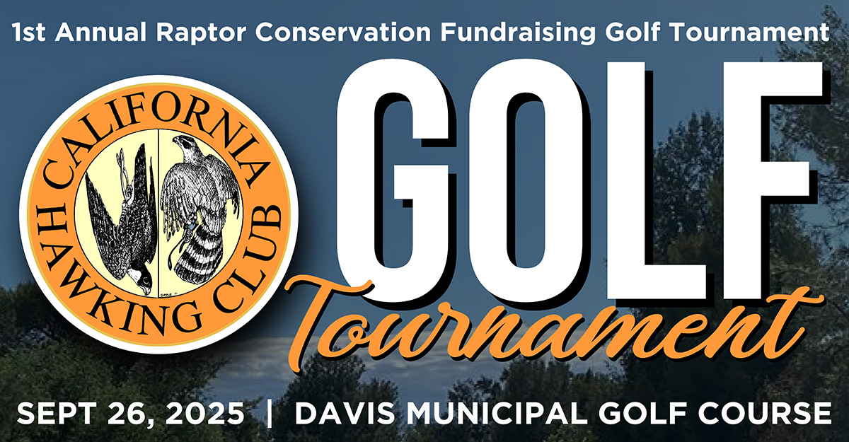 Golf Tournament